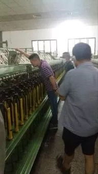 錦坤盈紡紗技術(shù)咨詢管理公司 助力紡廠品質(zhì)半年內(nèi)輕松達(dá)5級水平